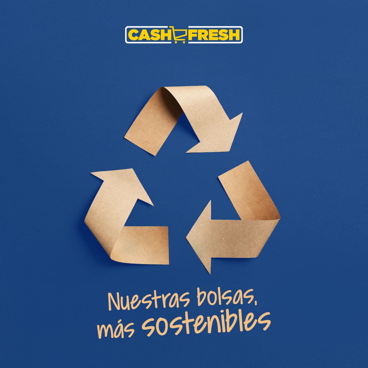 bolsas congelación - Cash Fresh